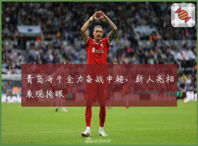 青岛海牛全力备战中超，新人亮相表现抢眼