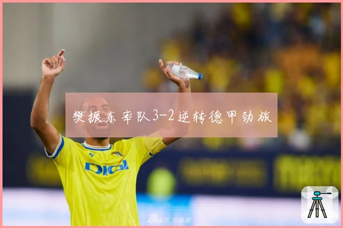 樊振东率队3-2逆转德甲劲旅